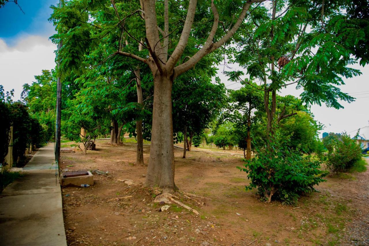 Sanctuary Aparthotel-Ac-Garden- Solar-Wi-Fi -Firepit-Park-Carport Lusaka Luaran gambar