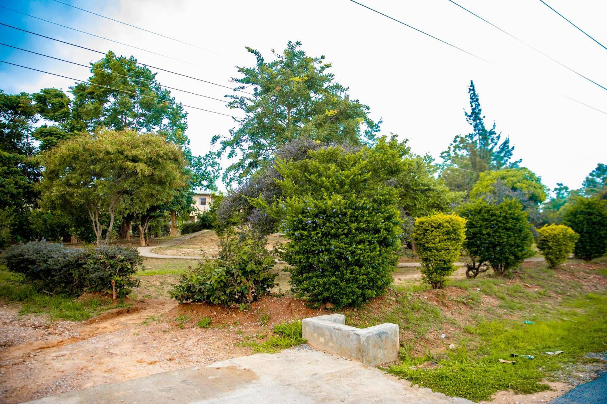 Sanctuary Aparthotel-Ac-Garden- Solar-Wi-Fi -Firepit-Park-Carport Lusaka Luaran gambar